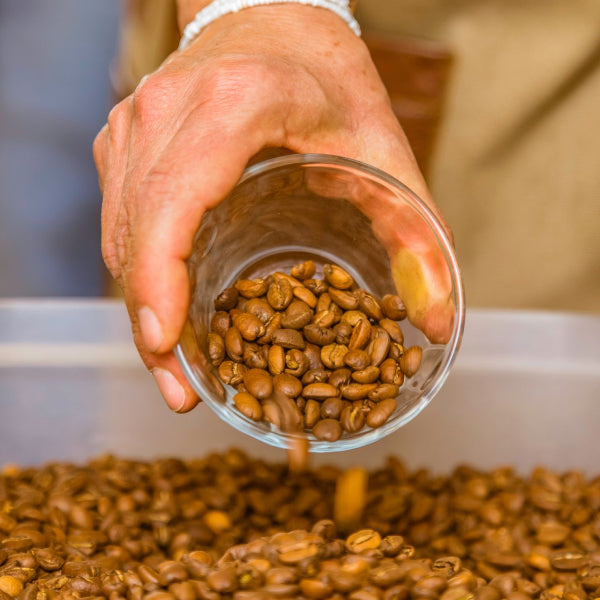 Patria Fervent Blend