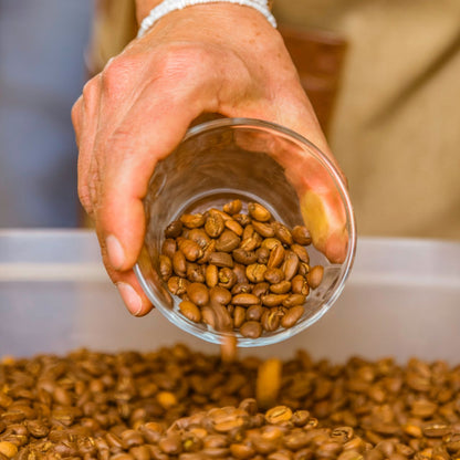 Patria Fervent Blend